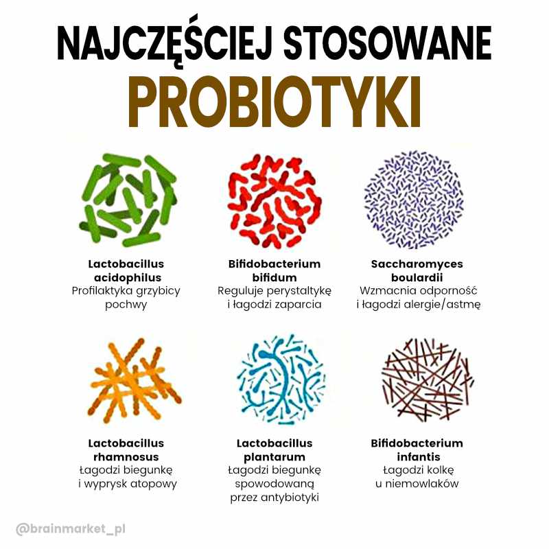 nejcasteji-probiotika (1)